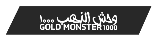 yozgat-minelab-gold-monster-1000